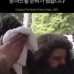 해그리드의 비밀, 어른이 되어야 이해할 수 있는 이야기