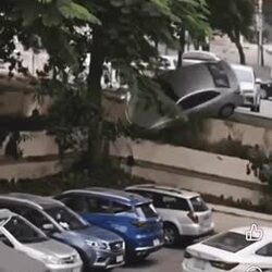 대륙의 정확한 주차(뒹국엔 분명 도술을 부리는...씨푸가 있다