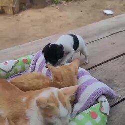 제가 좀 껴도 괜찮을까요