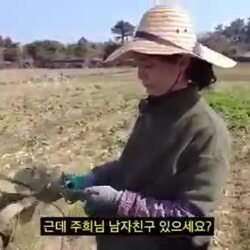 제주 농부의 공개 구혼
