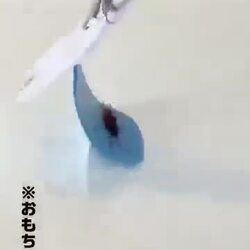 일본 신상 바퀴벌레 트랩