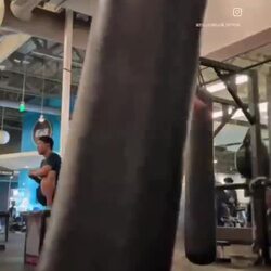 미국인 발차기 실력, 우리나라 신검 4급과 비교