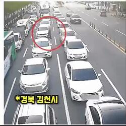 운전자 과실 여부, 경찰 및 심의위원회 판단과 소송 결과