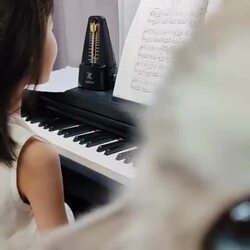 귀여운 고양이가 카메라를 방해하네요🐱
