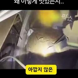 세금이 아깝지 않은 우리나라의 이유