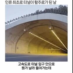 레드불, 인류 최초의 경이로운 도전을 성공시키다 (인디아나 존스 3 스타일)
