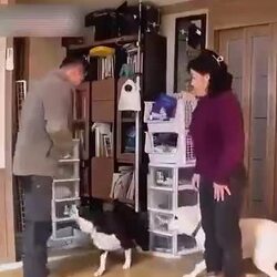강형욱, 개는 친구가 아니라는 충고