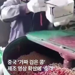 검은콩 중국산 제조 영상