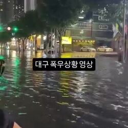 현재) 난리난 대구 폭우상황 영상 ㄷㄷ