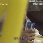 20세기 야구장의 음주 문화