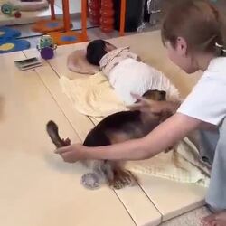 아기 재우고 나니, 댕댕이가