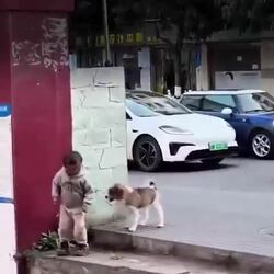 꼬치에게 암살 성공한 강아지