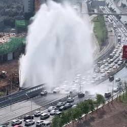 세차 무료 꿀팁