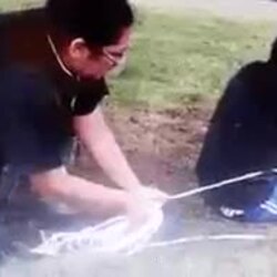 놀라운 구조 장면.gif