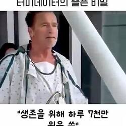 아놀드 슈왈제네거 옹