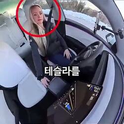 테슬라, 갑자기 움직여 운전자 놀라게 한 사연