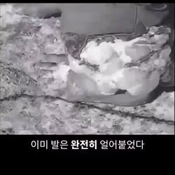 장진호 전투: 영하 30도의 극한 상황