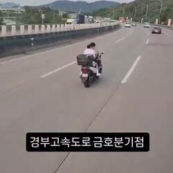 경부고속도로 근황 영상