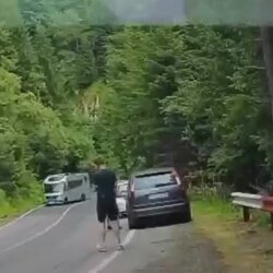 곰도 찍먹해도 무관심한 남자.mp4