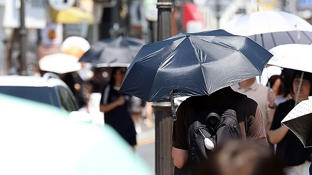 양산, 낮 기온 42.5도 기록하며 역대 최고 경신…닷새째 40도 이상