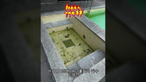 1박 100만원 풀빌라, 녹조·오염으로 사용자 '분통'