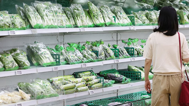 폭염에 채소값 폭등…‘히트플레이션’ 공포 확산
