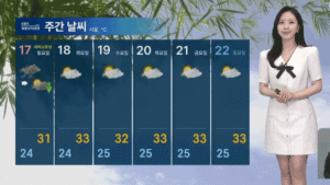 내일 전국 곳곳 비 소식, 남부·제주 집중 호우 예상