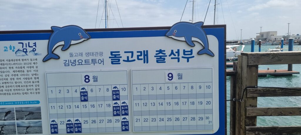 바다로 돌아간 돌고래, 만남을 기다리는 관광객들의 시선 변화