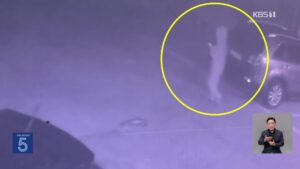 제주 야자수 농장 장미란 씨 사망 추정 시각, 실종 다음 날 새벽