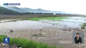 북한, 신의주 집중 호우로 대규모 침수…농경지·저지대 피해 속출