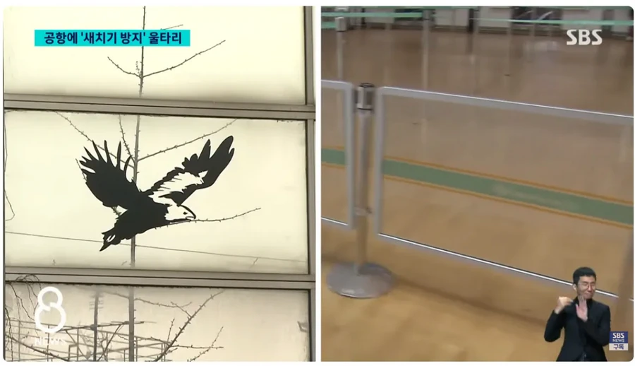 인천공항, 새치기 방지 울타리 설치 후 달라진 모습.news