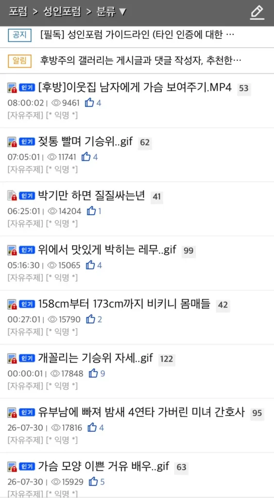 19) 뜨거운 뽐뿌 성인포럼 현황.jpg