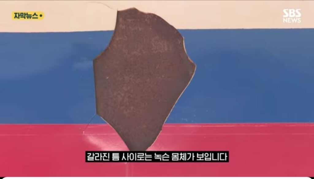 일본인, "북한인 줄 알았다"