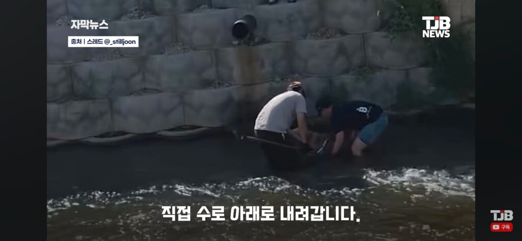 "몇 시간째 움직이지 않아…" 수로에 빠져 있던 40kg 리트리버