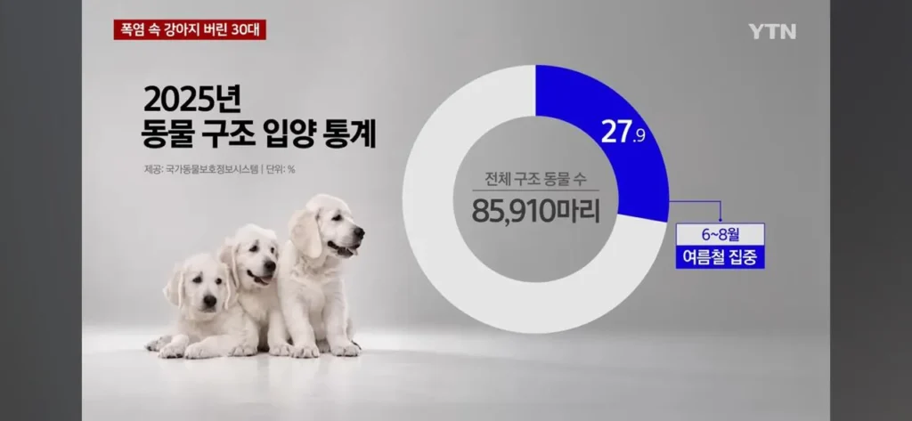 강아지 놀이터에 버린 여성, 폭염 속 입건