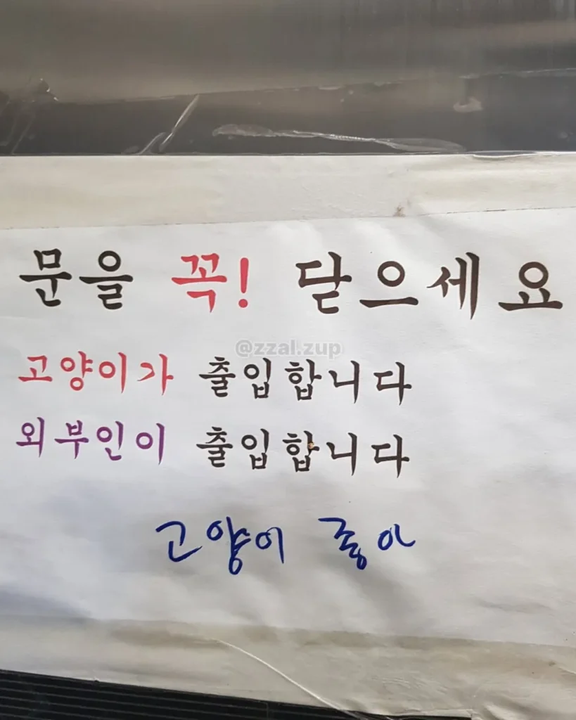 도서관에서 받은 쪽지, 이게 대체 뭘까요