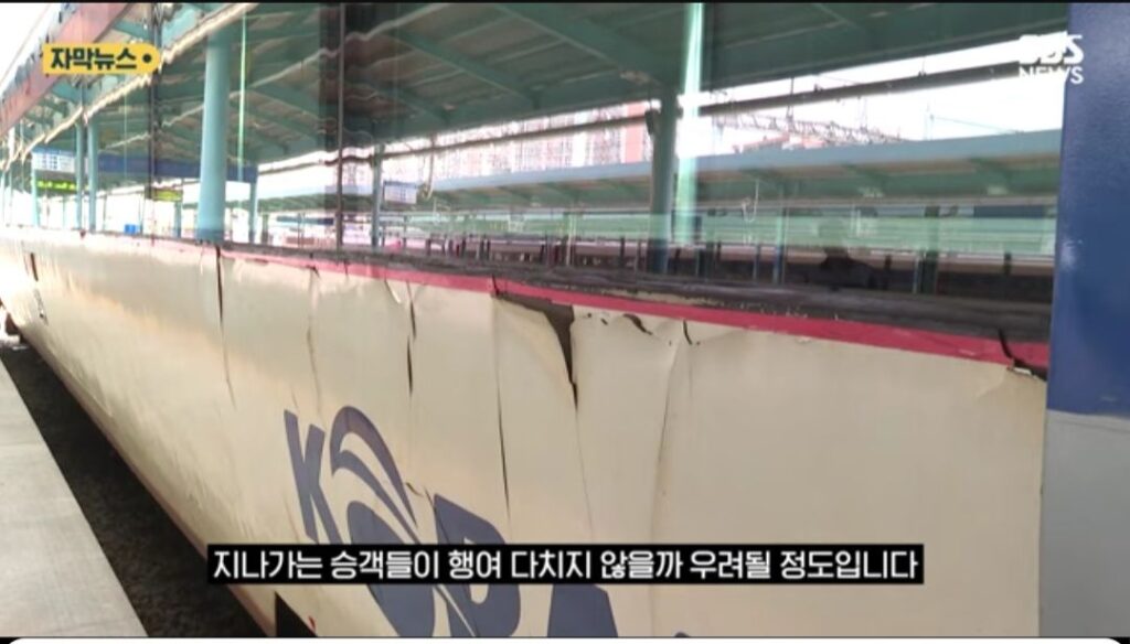 일본인, "북한인 줄 알았다"