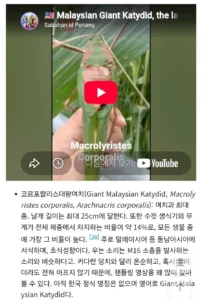 실제로 보면 깜짝 놀랄 만한
