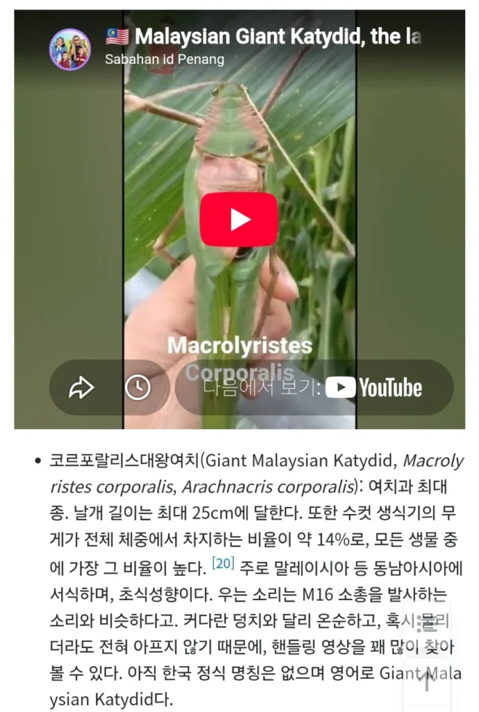 실제로 보면 깜짝 놀랄 만한
