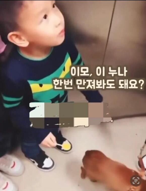 이 강아지, 이모 한번 만져봐도 될까요?