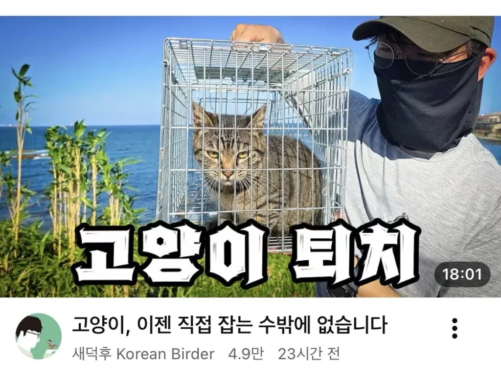 유튜버 새덕후, 근황 전해와