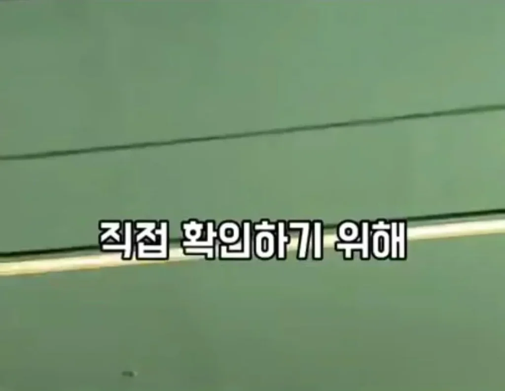 '고기와 수박' 썰을 확인하러 온 중국 틱톡커.jpg