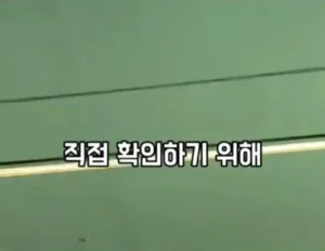 '고기와 수박' 썰을 확인하러 온 중국 틱톡커.jpg
