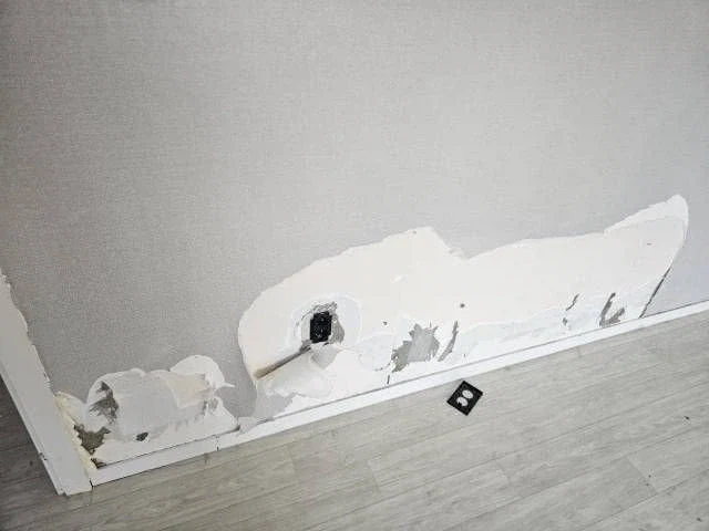 반려견 키우는 세입자, 받지 않는 것이 좋음