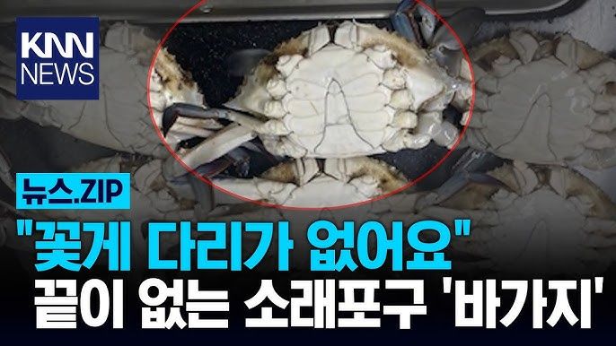 핸드폰을 부숴도 되는 촬영 금지 장소