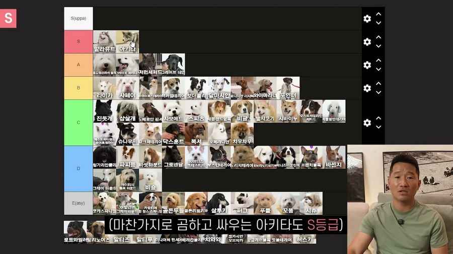 강형욱이 선정한 견종 난이도 티어리스트.jpg