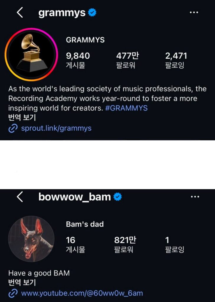 미국인이 본 BTS 그래미 보이콧 평가.jpg