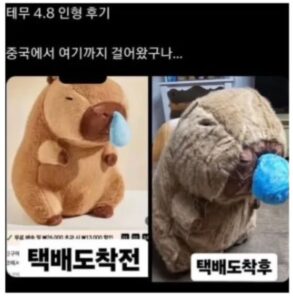 한국으로 걸어온 중국산 인형