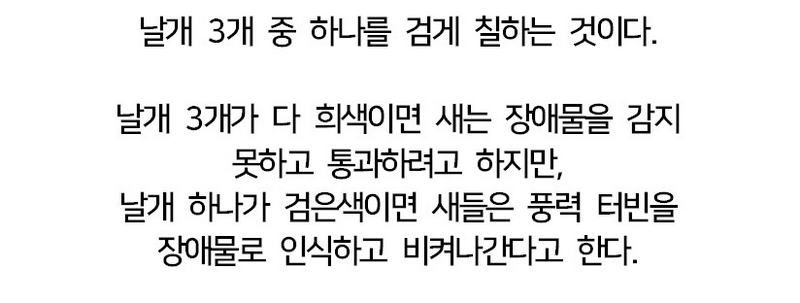 풍력발전기 새떼 충돌을 70%나 감소시킨 방법.jpg