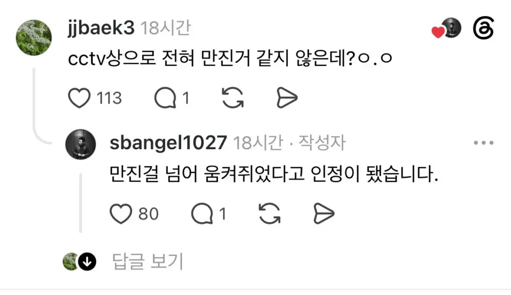 평택 노래방 여경 강제추행 사건, 최종 유죄 확정